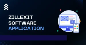 What is Application in Zillexit Software